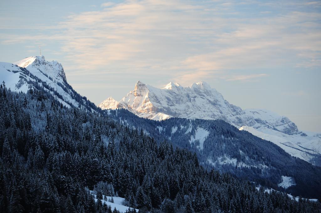 Hotel Le Relais Alpin Les Mosses Exteriér fotografie